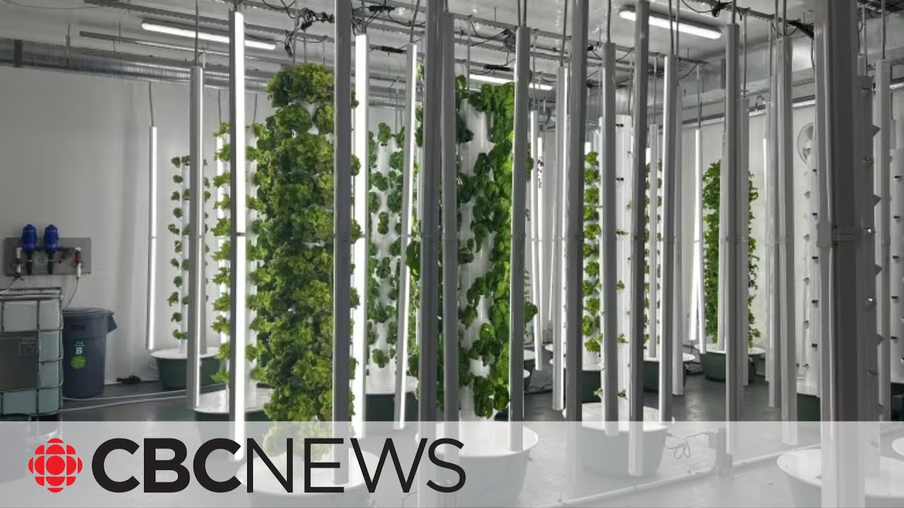 These indoor farms are helping New Brunswick feed itself
