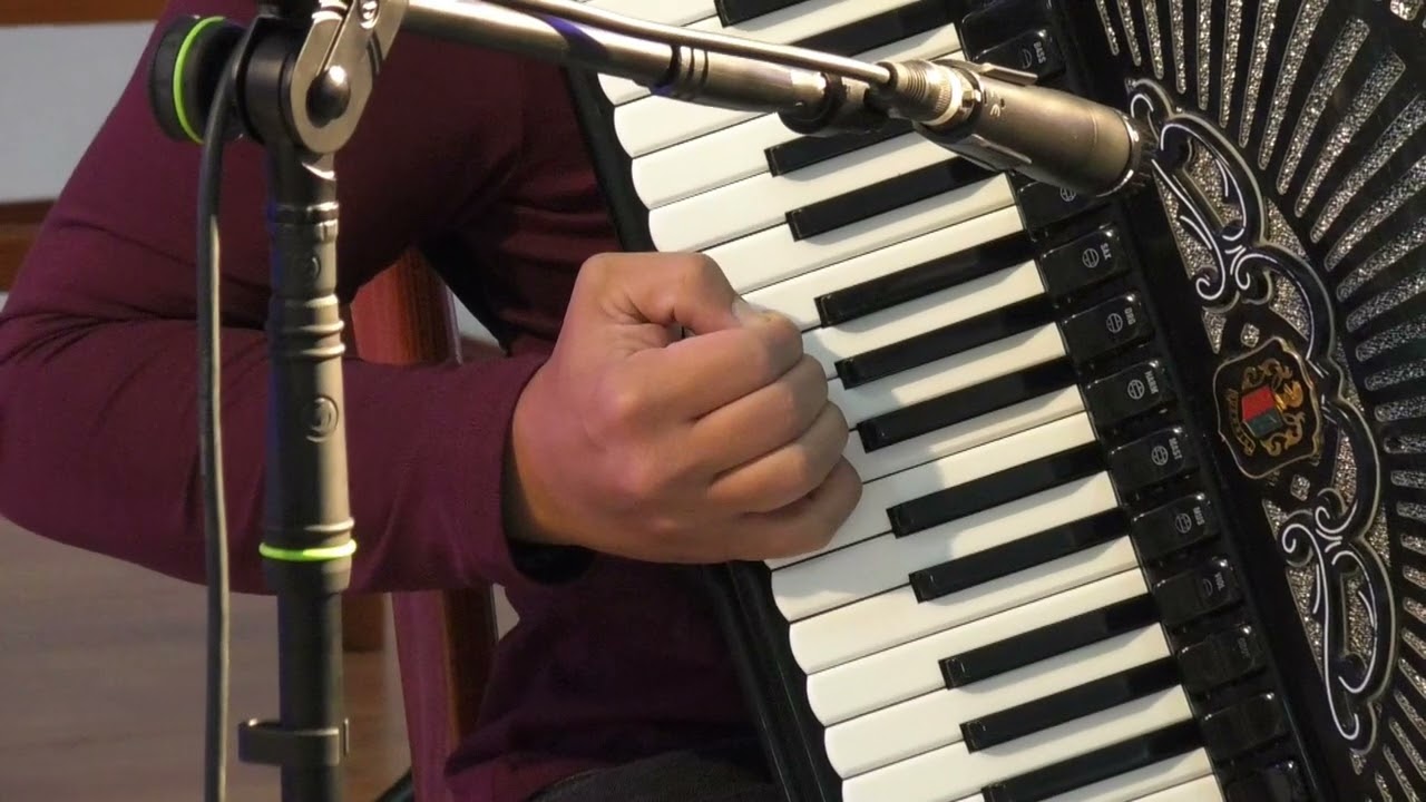 Ivan Stamenić 7.susret harmonikaša  Županja 2023.