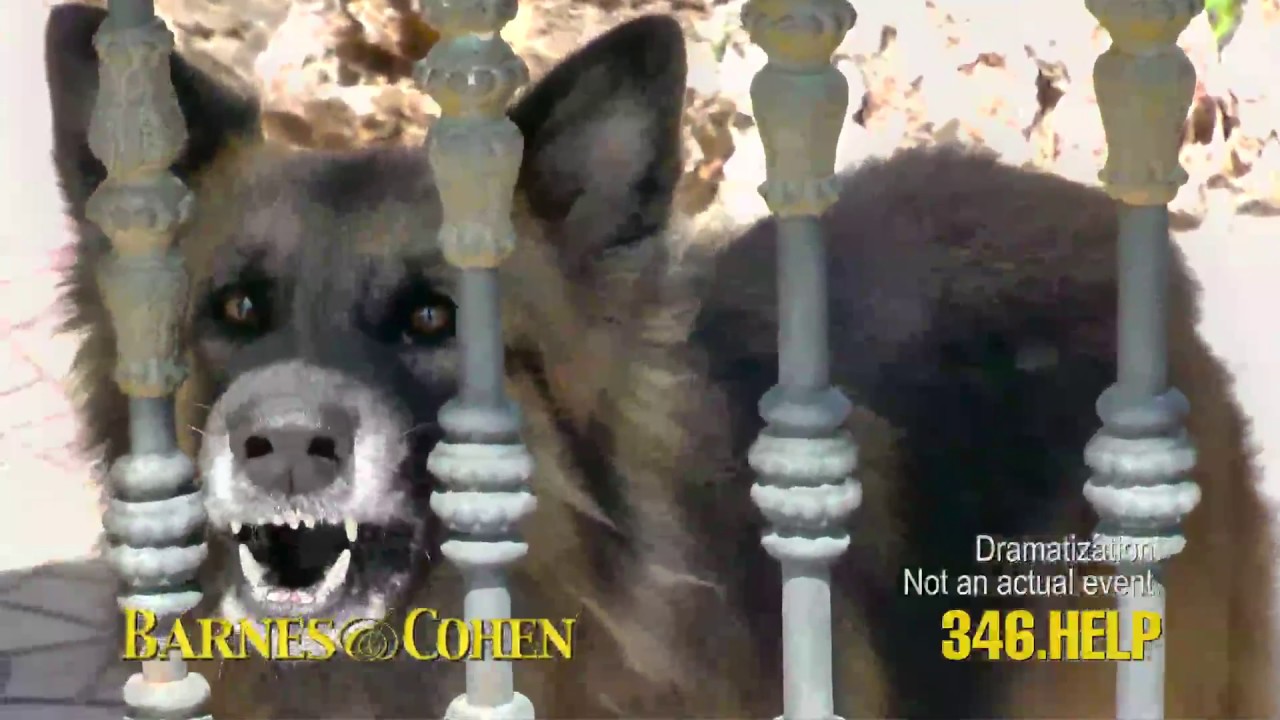 Dog Bite Injury Attorneys Protect Innocent Victims