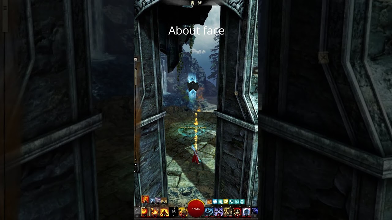 How to use about face correctly in GW2