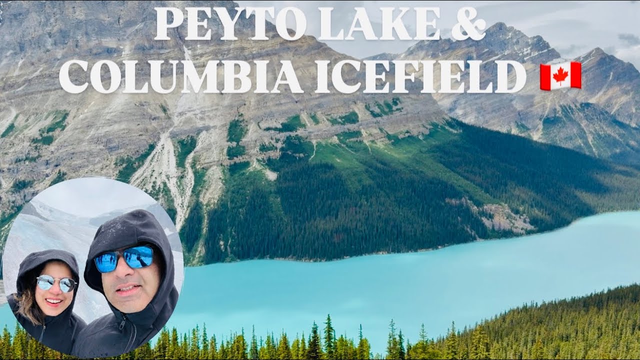 Banff to Jasper Drive | Peyto Lake & Columbia Icefields | Canadian Rockies Road Trip Part 4 🇨🇦