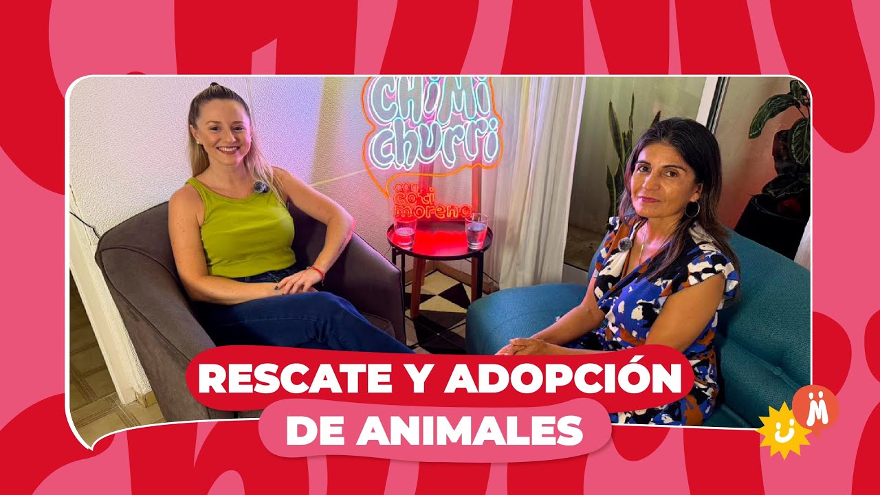 Amar también duele: lo que nadie te cuenta sobre rescatar y adoptar animales 💔🐶