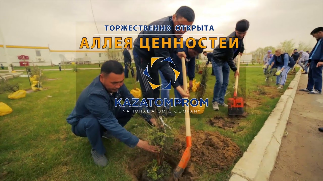 Эко неделя на ТОО 