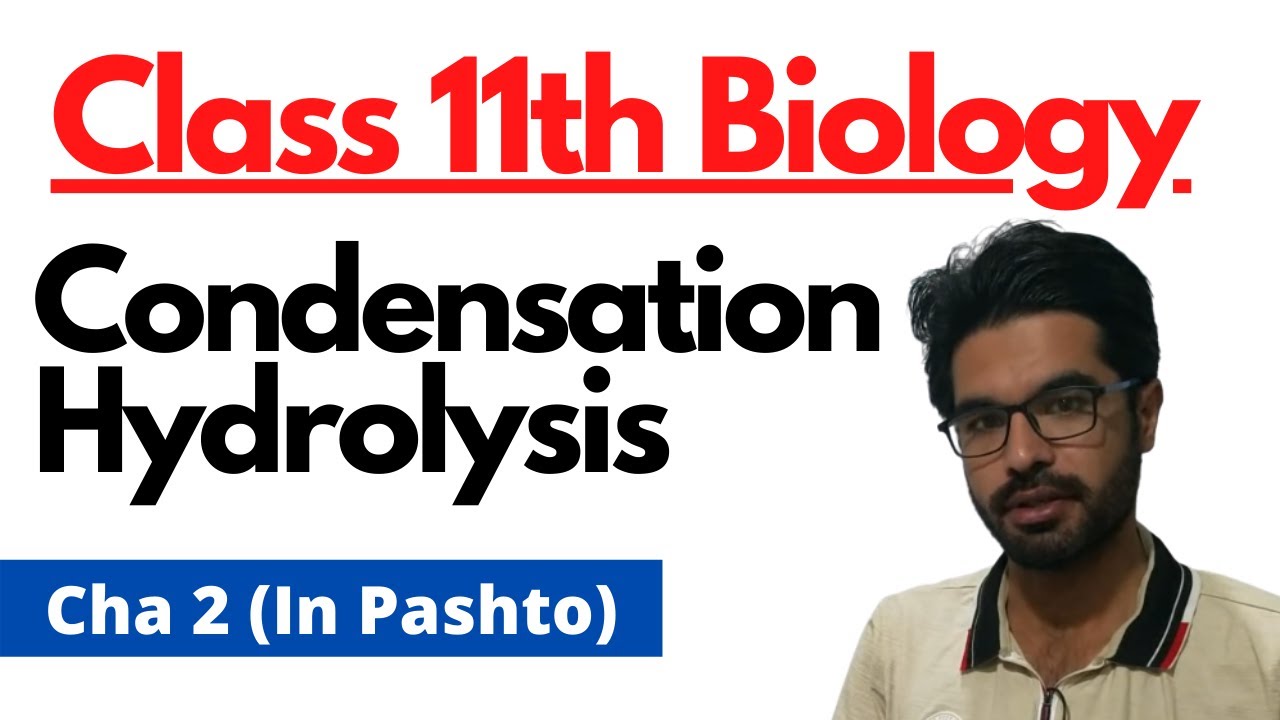 Condensation and Hydrolysis | Class 11th Biology | In pashto | Home Of Biology