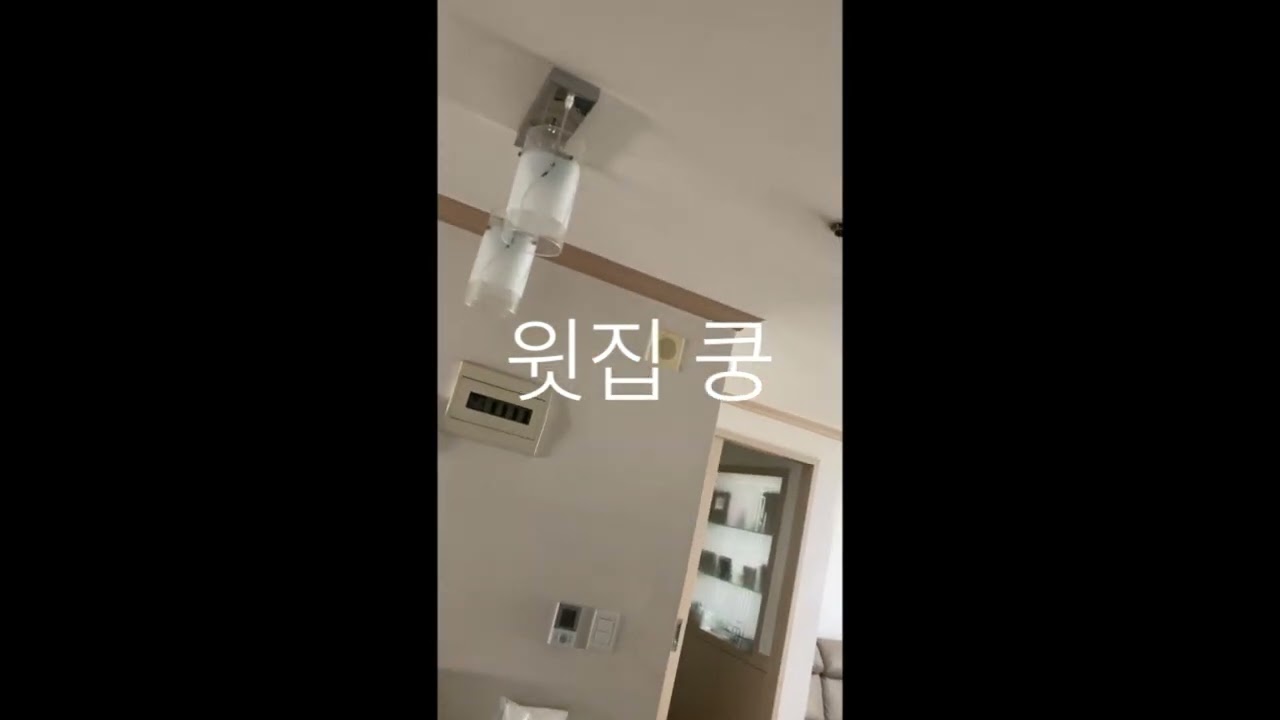 전등안 딱소리（참고영상)