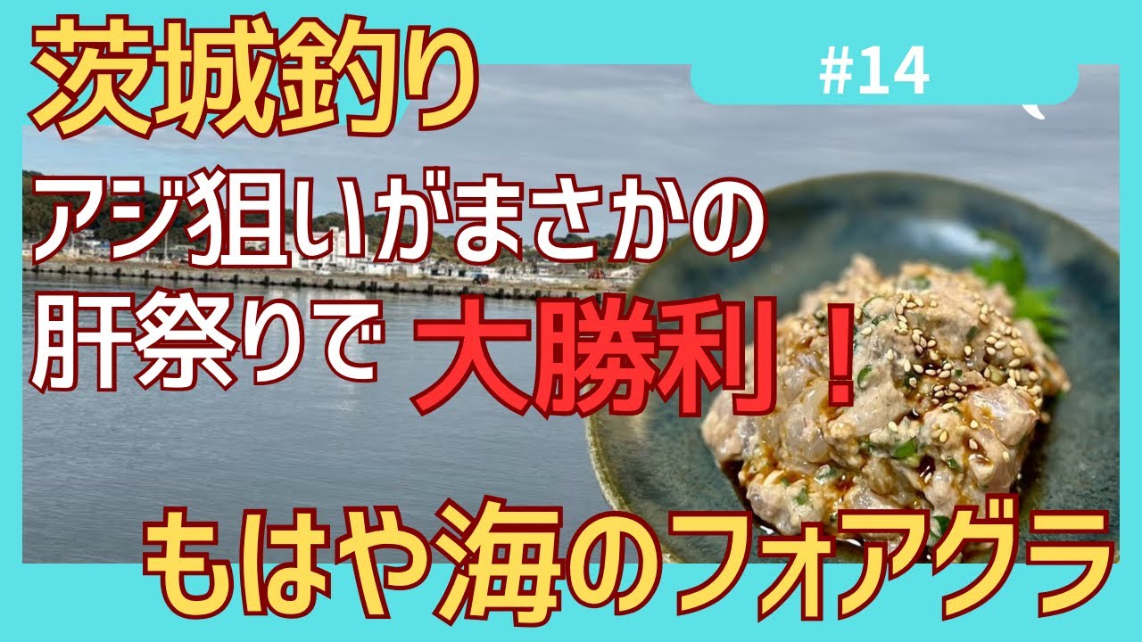 【茨城釣り】アジ狙いを忘れる、禁断の肝和え