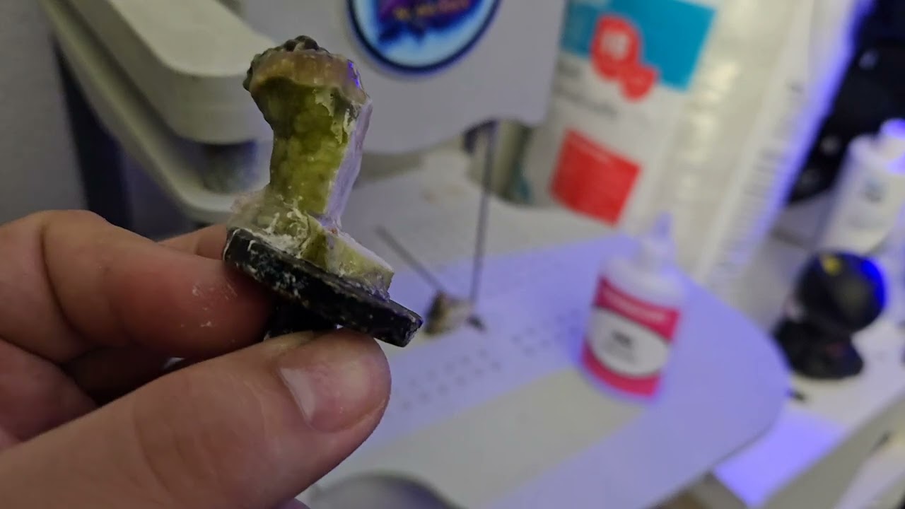 How to get rid of Euphyllia eating flat worms (Amakusaplana acroporae, a type of polyclad worm)