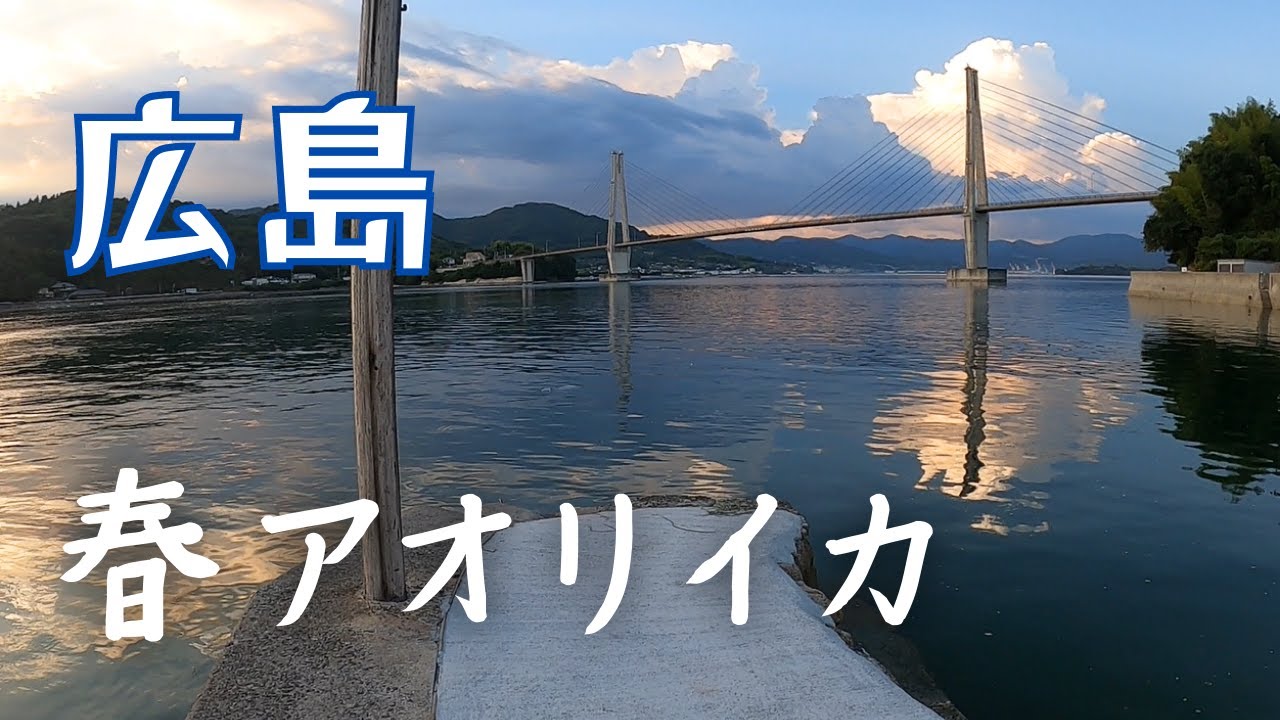 【兄ブクロに捧ぐ】広島エギング　春アオリイカ　本当に釣れた！　２０２３年５月３週目～４週目