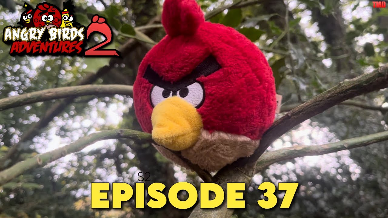 Angry Birds Adventures S2 Episode 37: Indoor Beef!