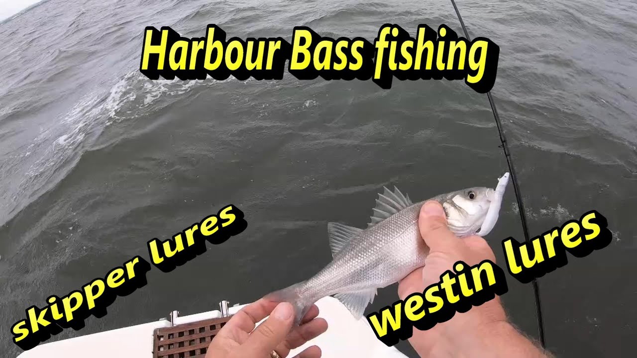 Harbour Lure Fishing for Bass