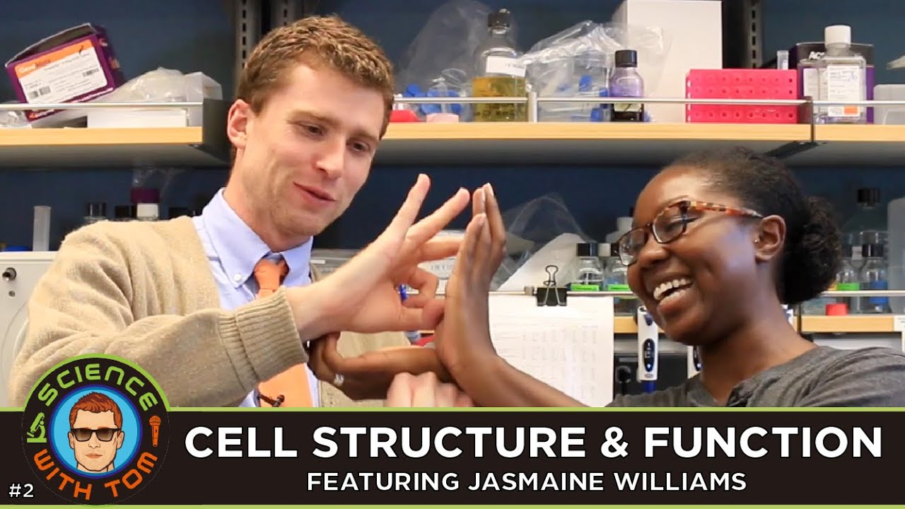 Cell Structure & Function - Science With Tom #2