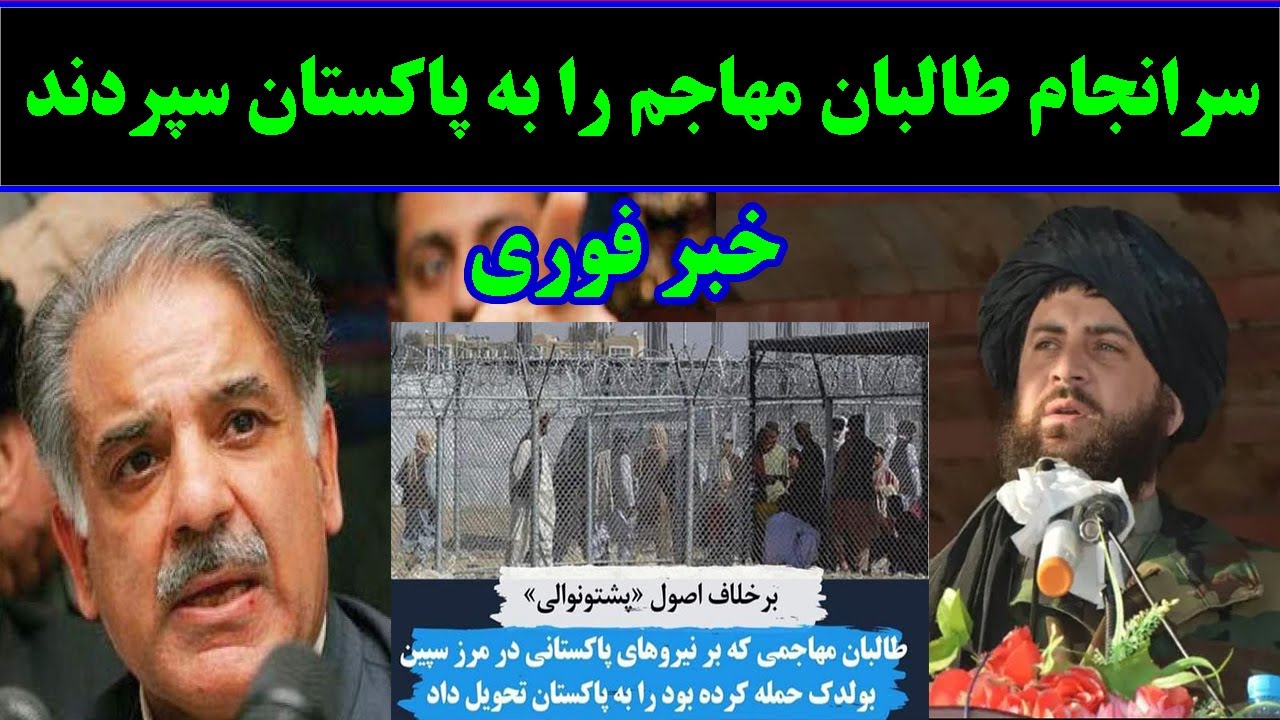 تســ/ـلیم دهی مهــ/ـاجمی که در اسپین بولدک بر پاکستانی ها شــــ/ـلیک کرد