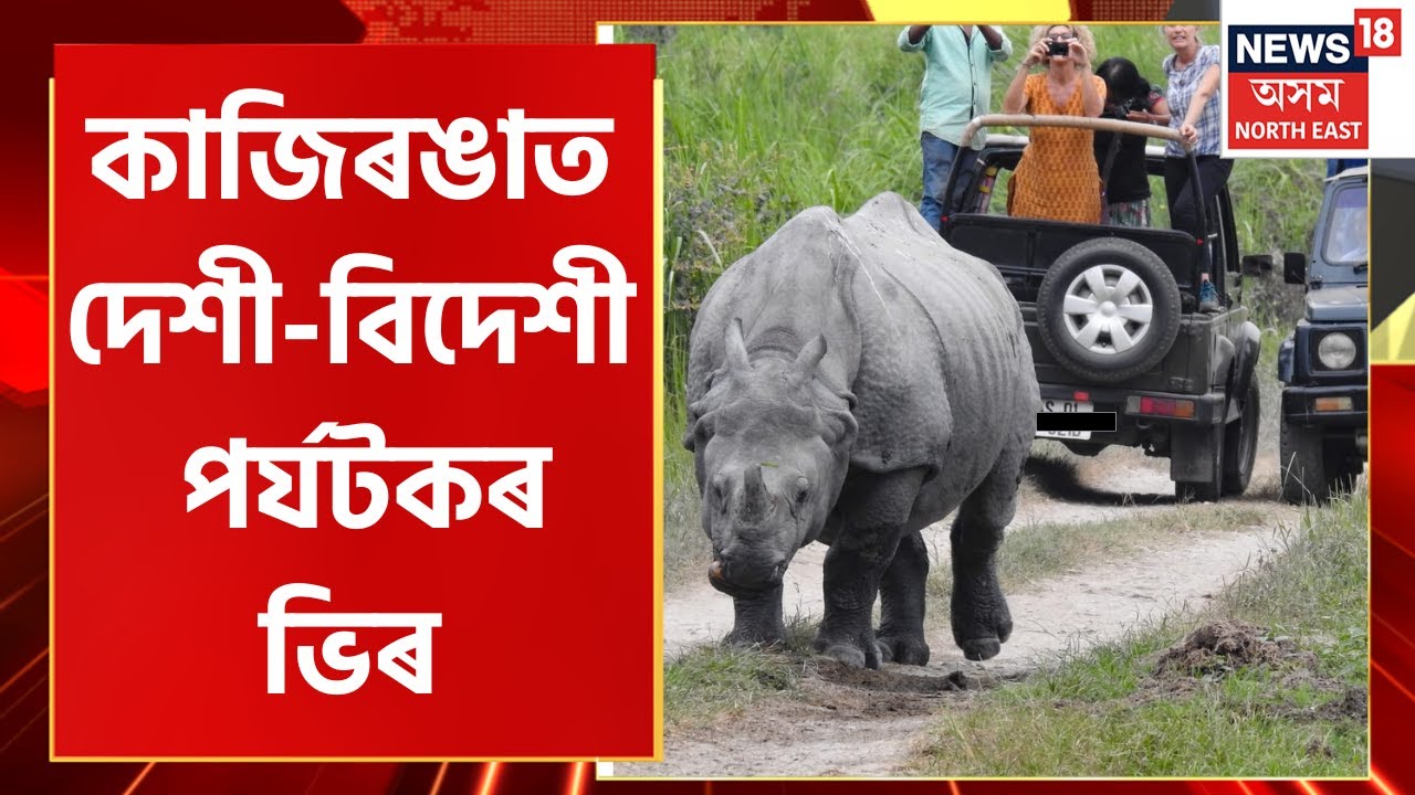 Kaziranga National Park News : কাজিৰঙাৰ নৈসৰ্গিক দৃশ্য উপভোগ কৰি অভিভূত ইজৰাইলৰ তিনি পৰ্যটক |