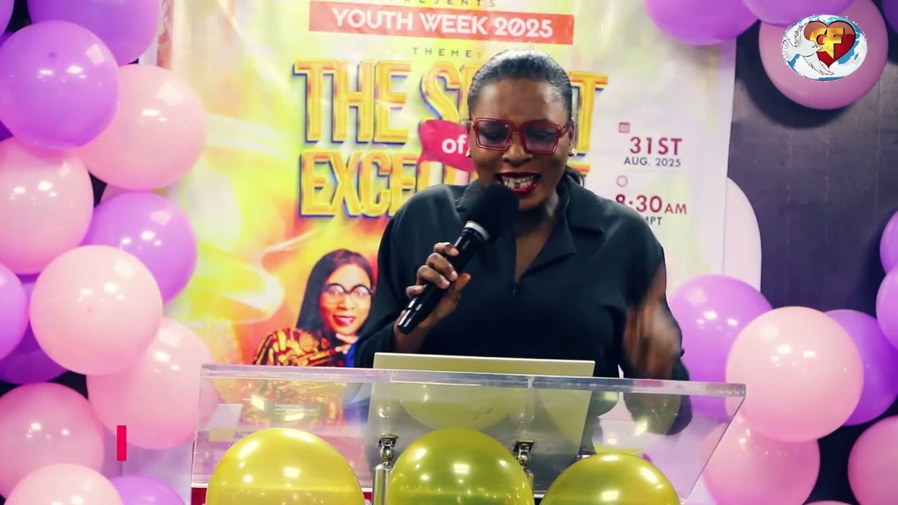 THE SPIRIT OF EXCELLENCE