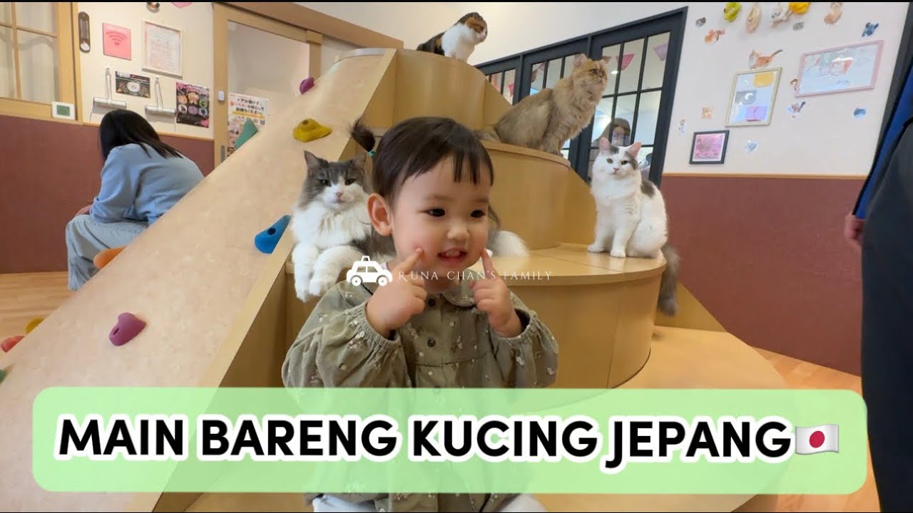 RUNA CHAN MAIN BARENG KUCING JEPANG🇯🇵