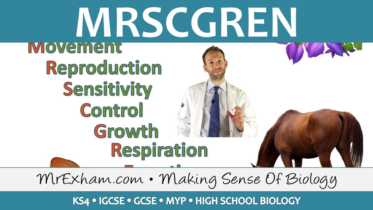 MRSCGREN Characteristics of Living Things - GCSE Biology (9-1)