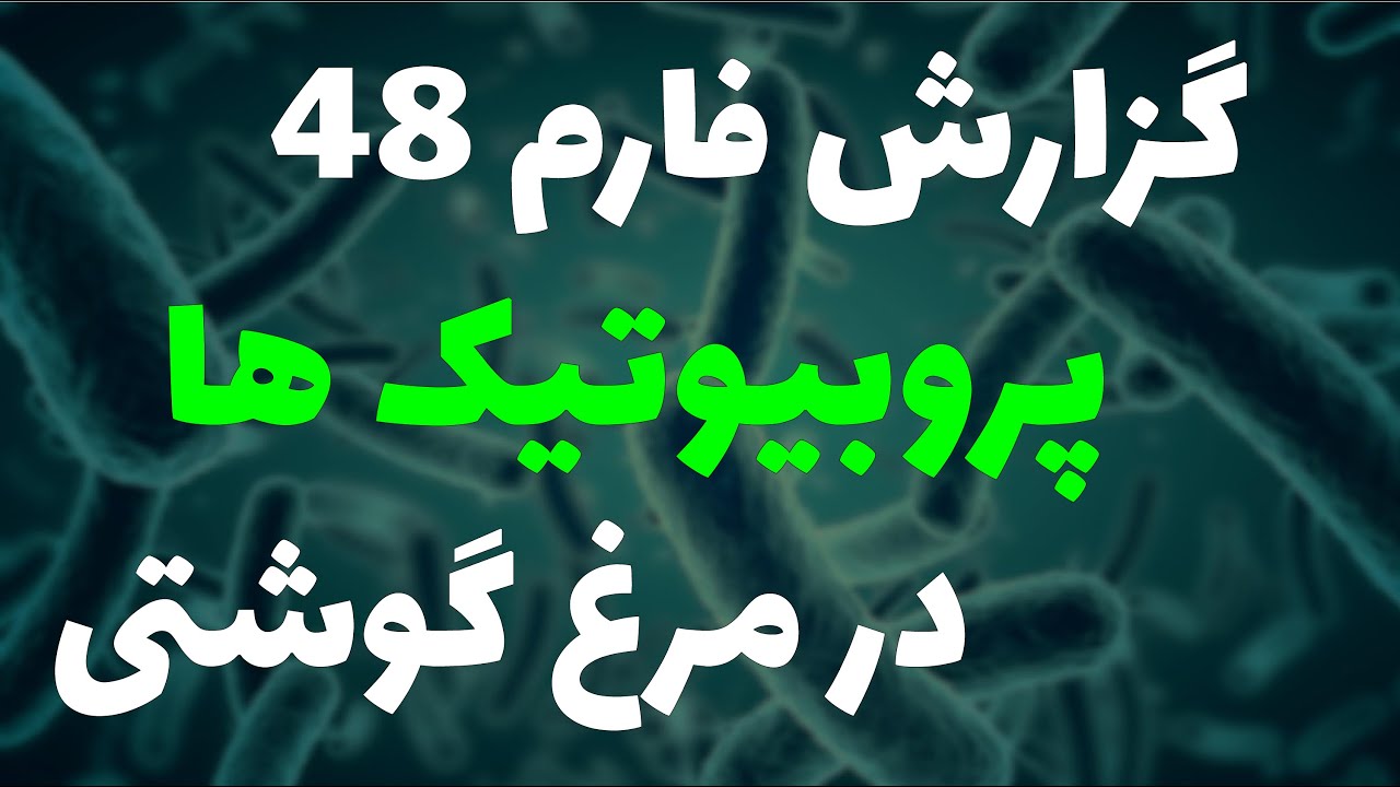 گزارش فارمی مصرف پروبیوتیک در مرغ گوشتی | شماره 48