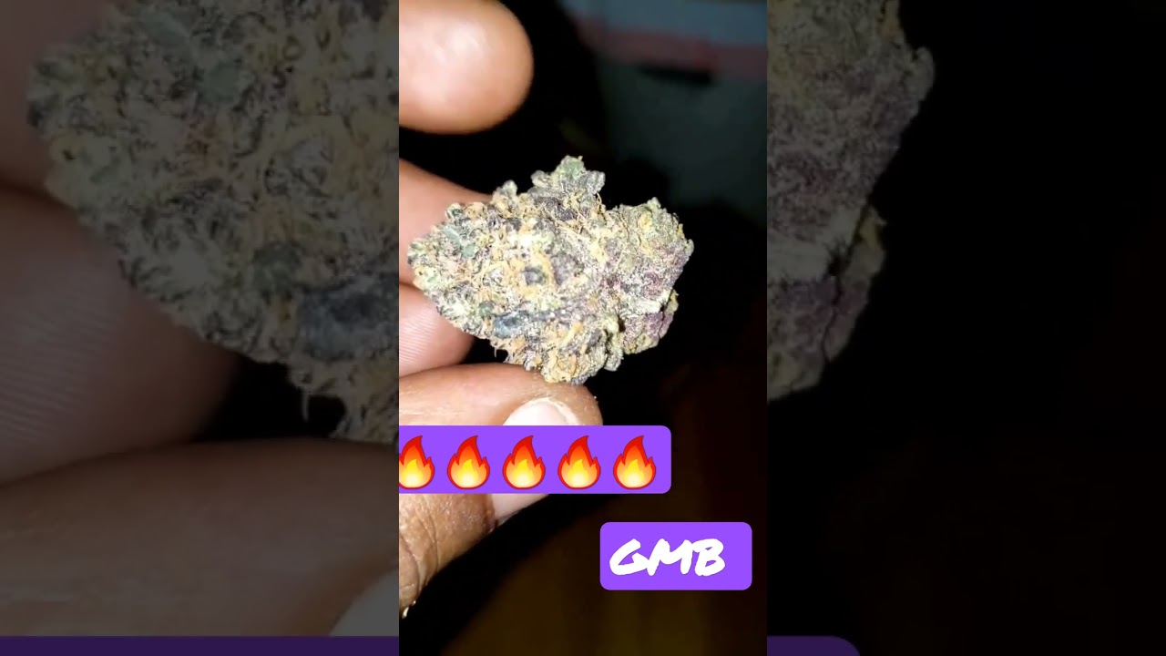 All Gas OG ⛽️