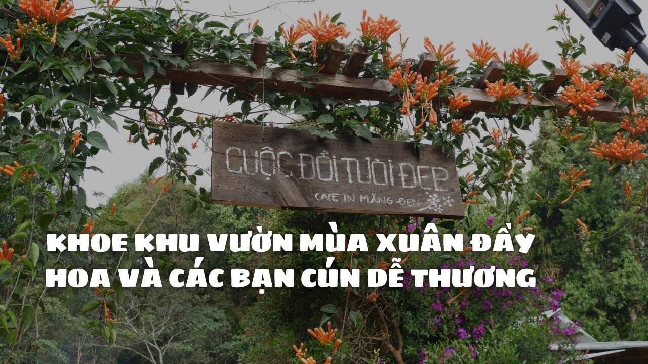 #259|Khoe Khu vườn mùa xuân đầy hoa và các bạn Cún dễ thương