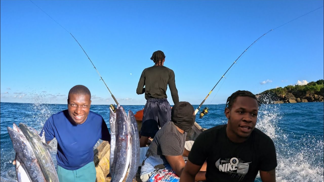 Barracuda frenzy in Portland jamaica unbelievable catch 