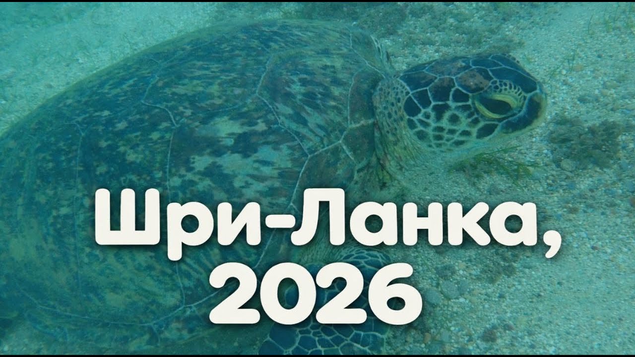Путешествие по югу Шри-Ланки (2026)