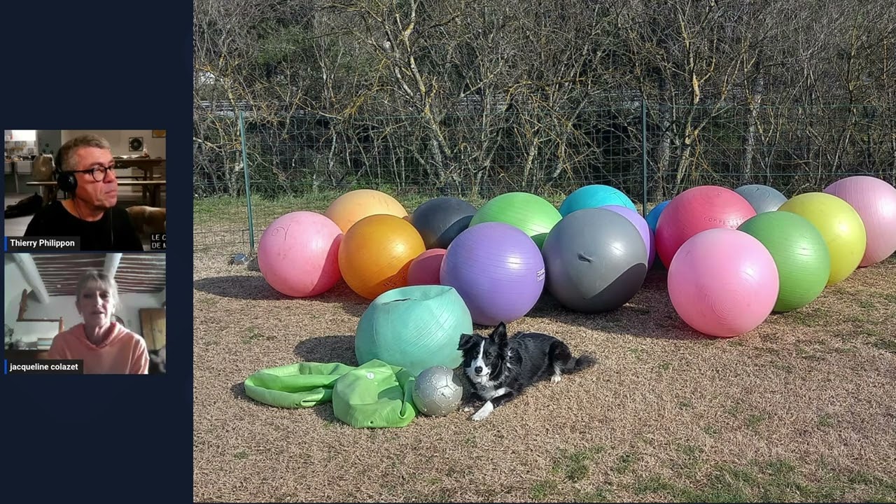 Autour du Treibball