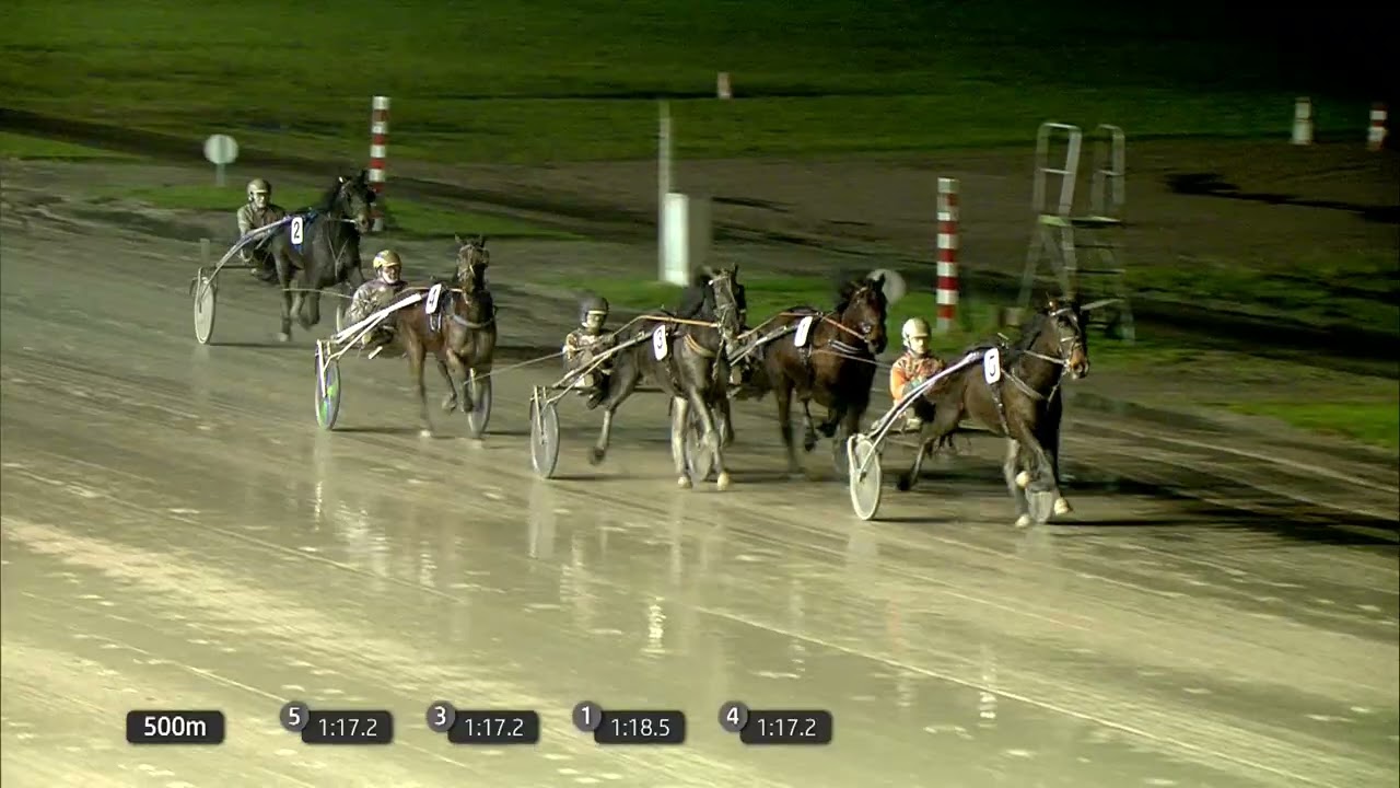 Victoria Park Wolvega 31-01-2026 Koers 5 Paparazzi - Jim Veldman