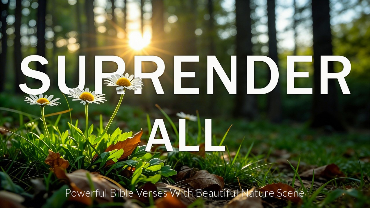 SURRENDER ALL | 3 Hour Christian Piano Instrumental | Prayer & Meditation Music