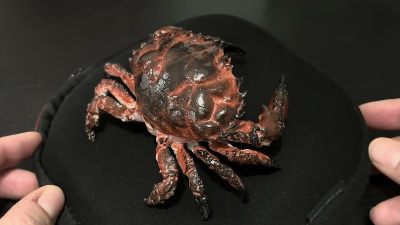 Resin acquarium crab 