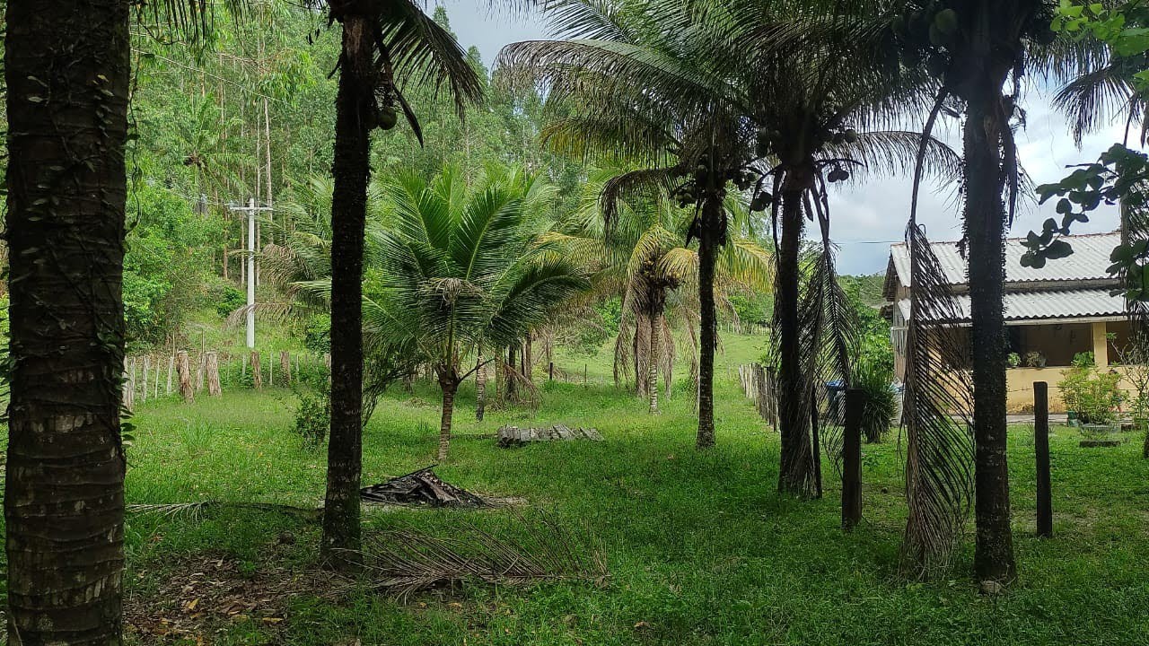 Sítio a venda em Canavieiras Bahia 300 mil