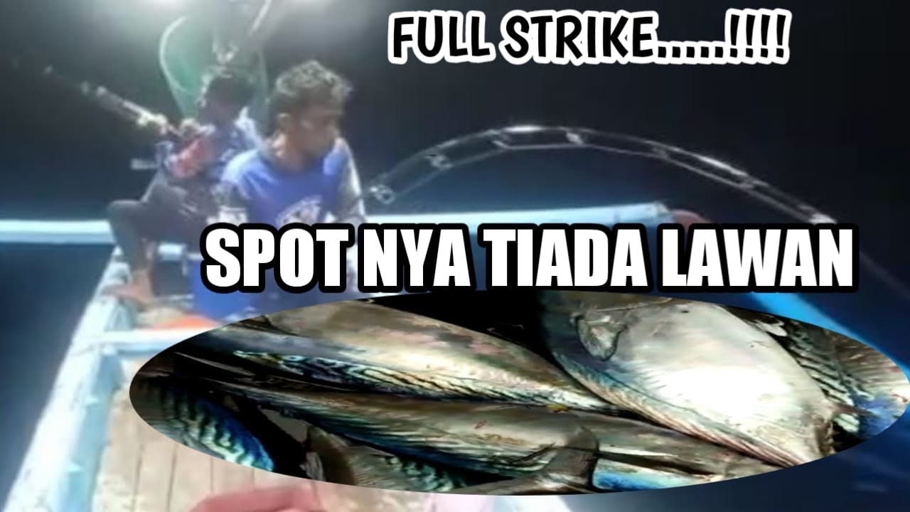 Ikan Penghuni Pulau Menjangan!! Gak Ada Yang tau kalau disini banyak ikan tuna besar-besar