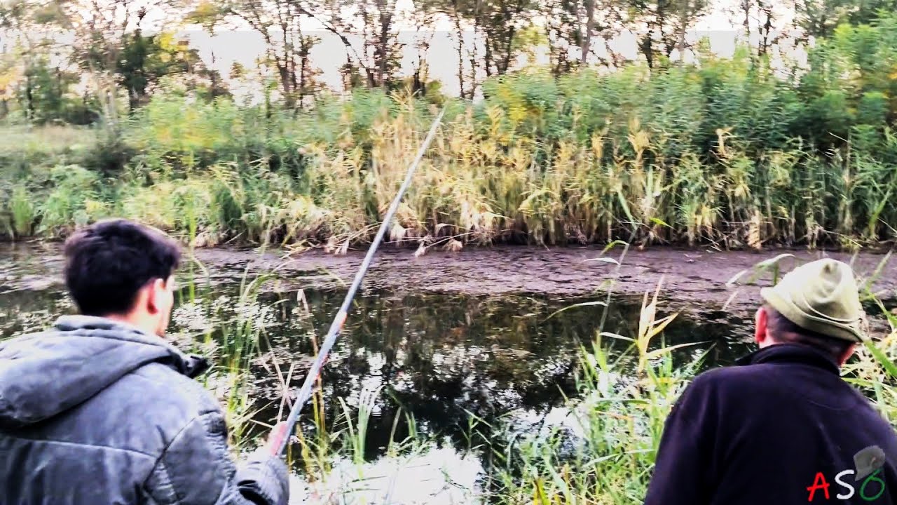 Anyós -  Só 59.  rész