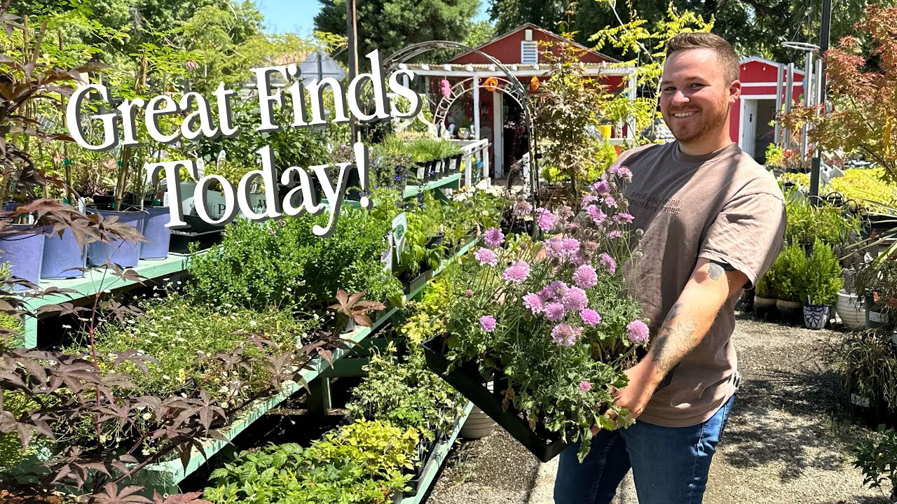 Garden's Blooming & Lots Of Fun Shopping! 🌸|| Visit Our Garden