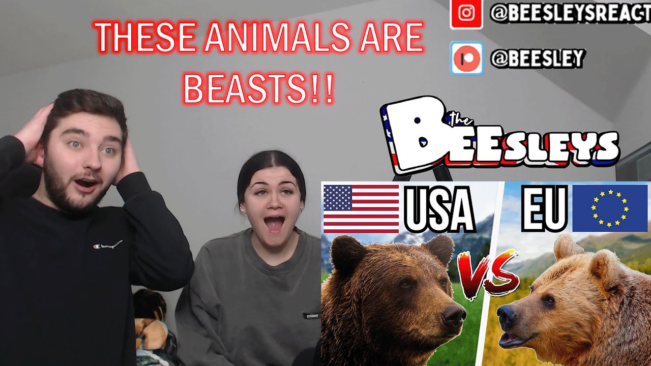 5 American Animals VS 5 European Animals - Who Would Win? | BRITISH COUPLE REACTS