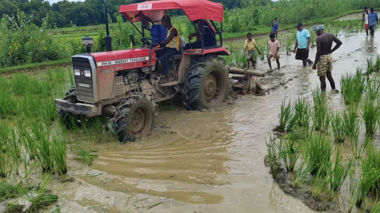 Fishing With Massey Ferguson 254 Dynatrac 50 HP 4WD // Damdaar performance // Tractor Help