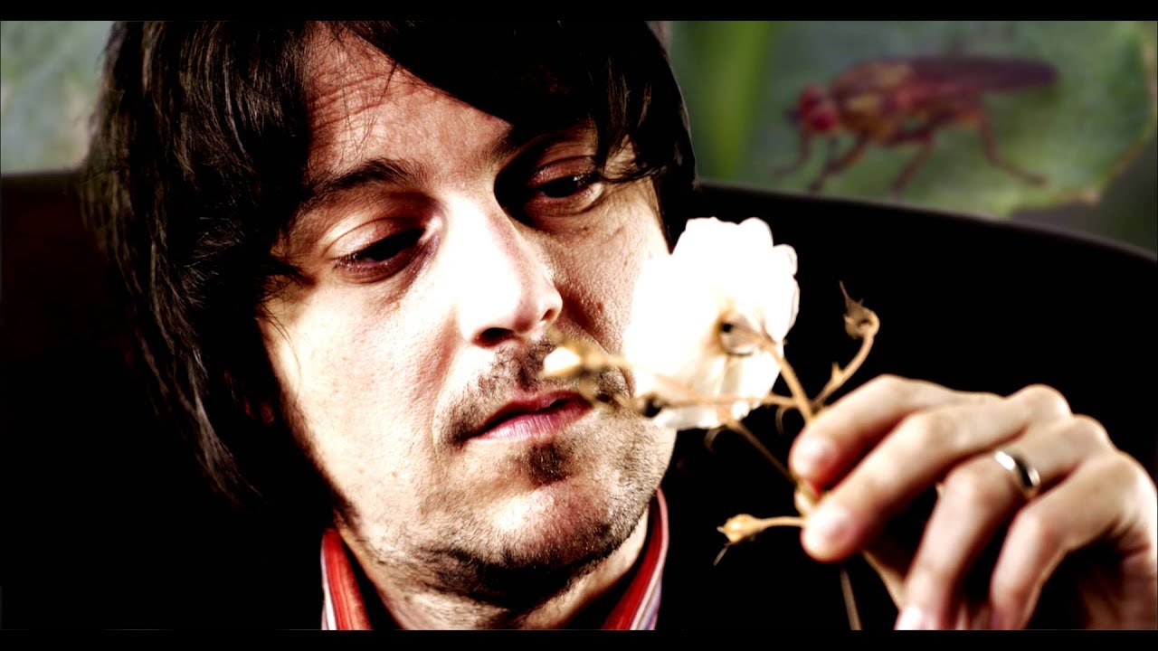 Salim Nourallah - The Quitter (official)