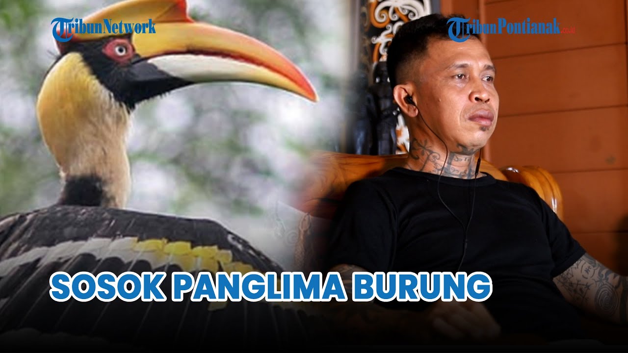 Sosok Panglima Burung Suku Dayak Diceritakan Panglima Jilah Pemimpin Pasukan Merah Dayak