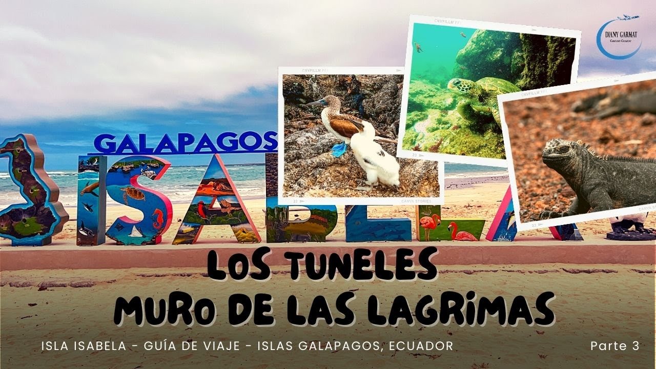 Tortugas Marinas | Tortugas Gigantes de Galápagos | Túneles, Muro de las Lágrimas | Isla Isabela P.3