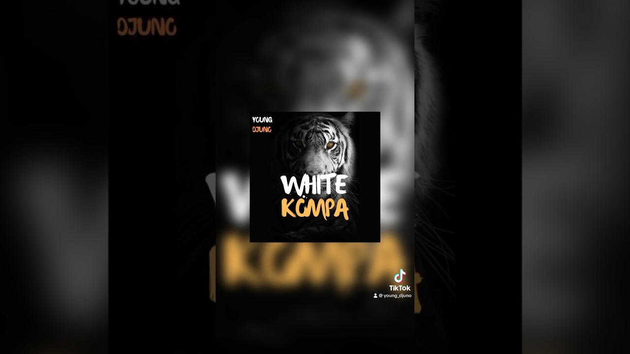 White Kompa | Kompa type beat 2024 | Tiktok | Young Djuno | #beatmaker #kompa