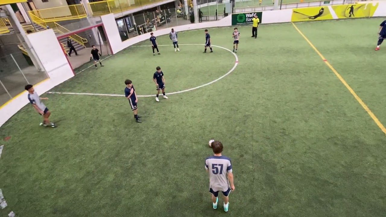 Nido águila Seattle jugando indoor 