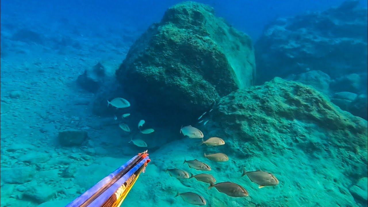 Antalya/ Kaş🏳Zıpkın Avları (8)