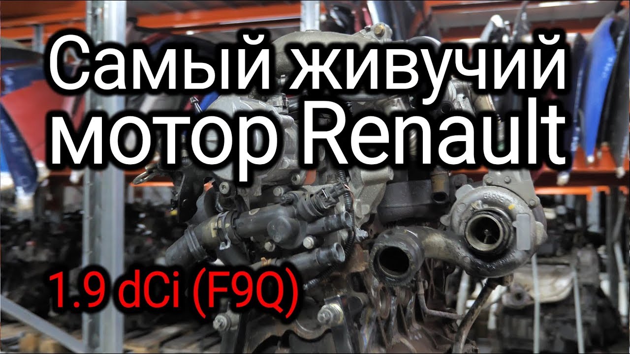 Надежный или неудачный? Разбираем все проблемы дизеля Renault 1.9 dCi (F9Q)