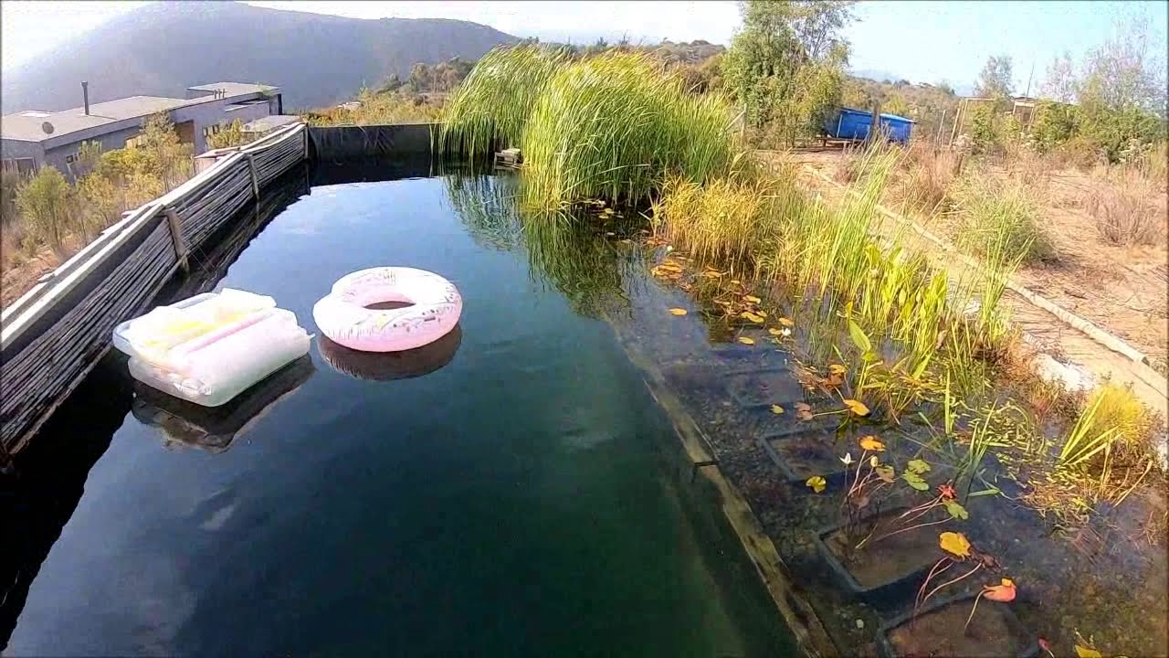 Mi Piscina Natural (con subtítulos)