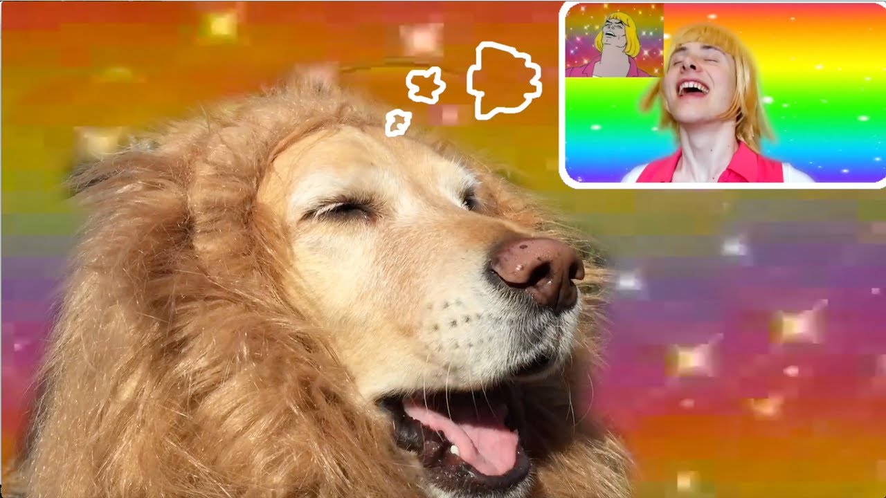 Fritz Discovers HEYEAYEAYEA