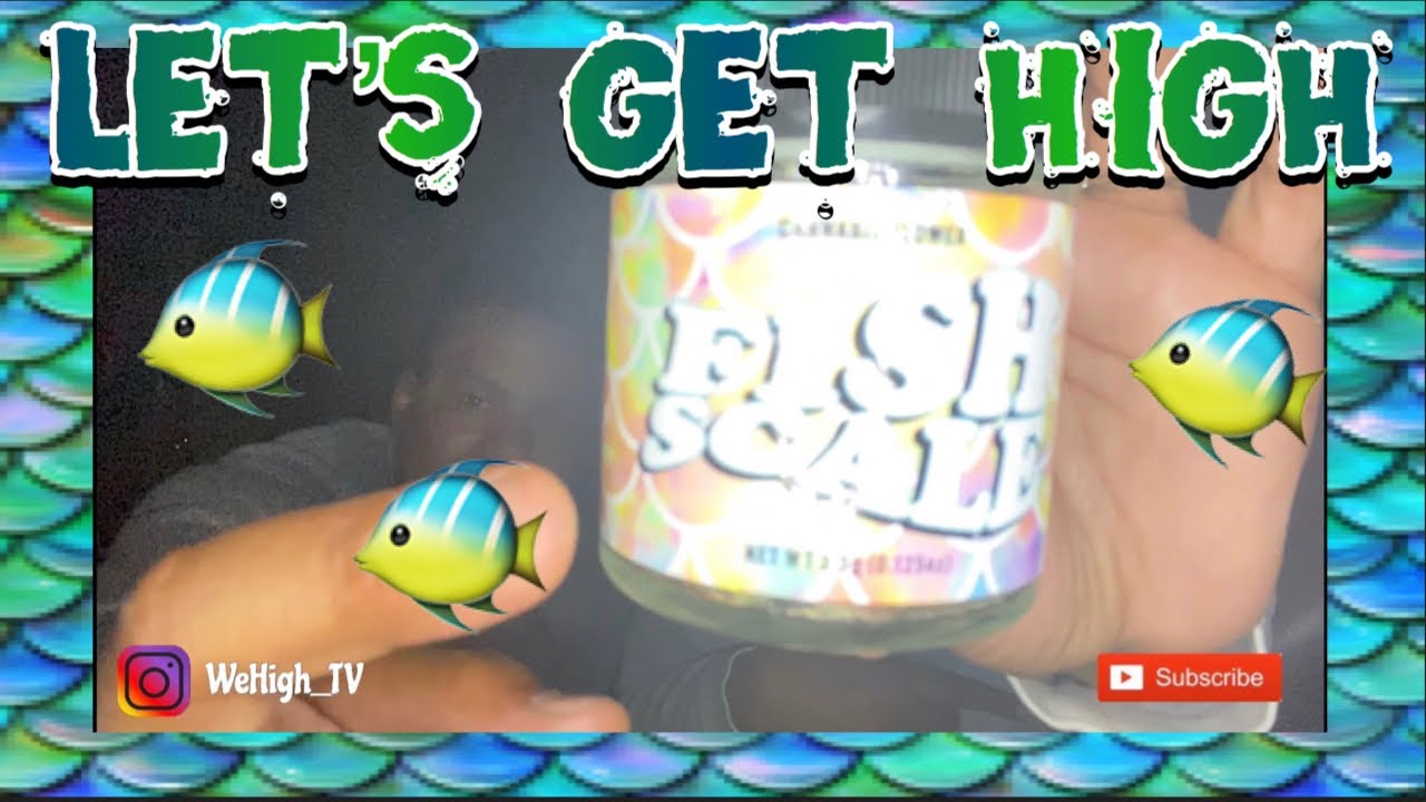 FISH SCALE  🐠 ~ BIG AL&rsquo;S | STRAIN REVIEW (VIEWER&rsquo;S CHOICE)