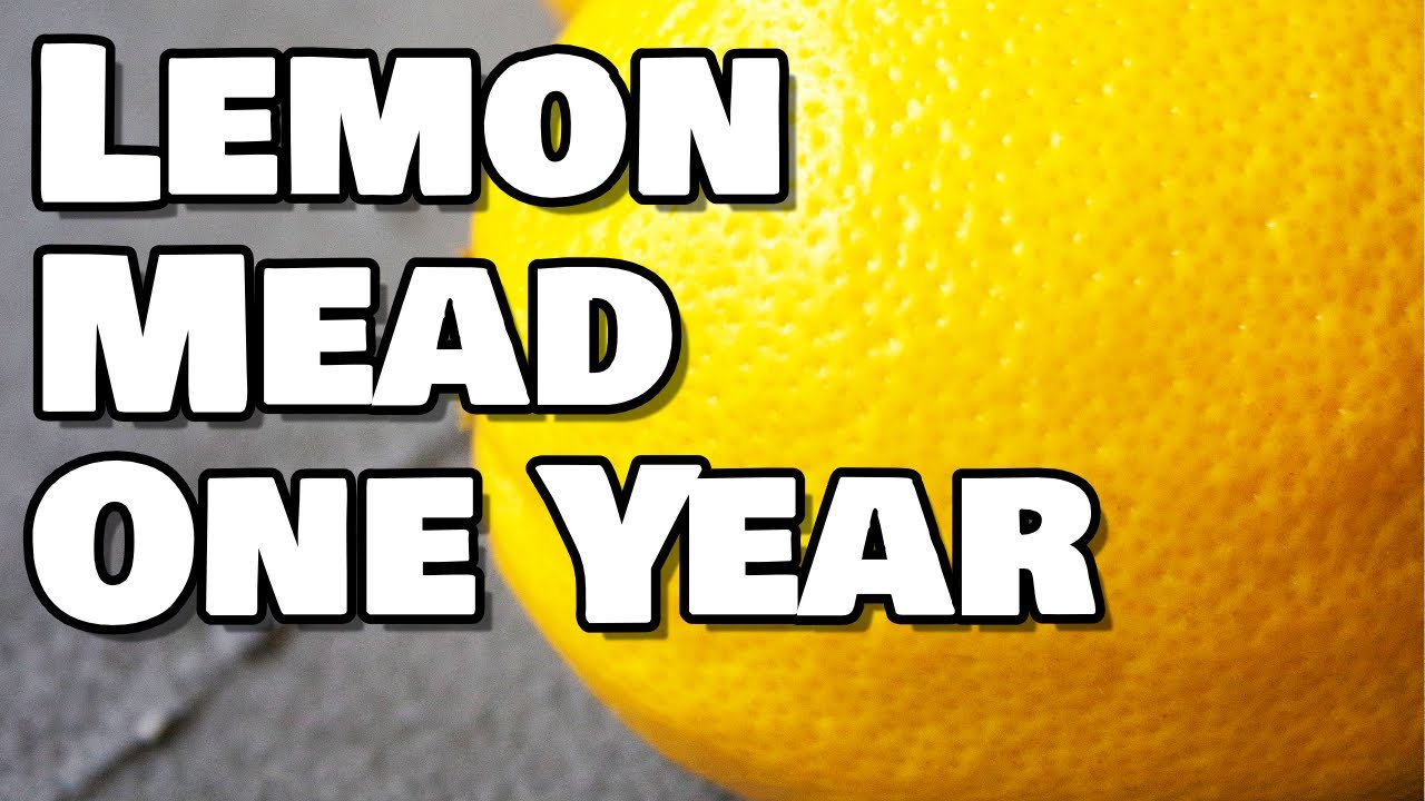 Lemon Mead - One Year Mead Tasting