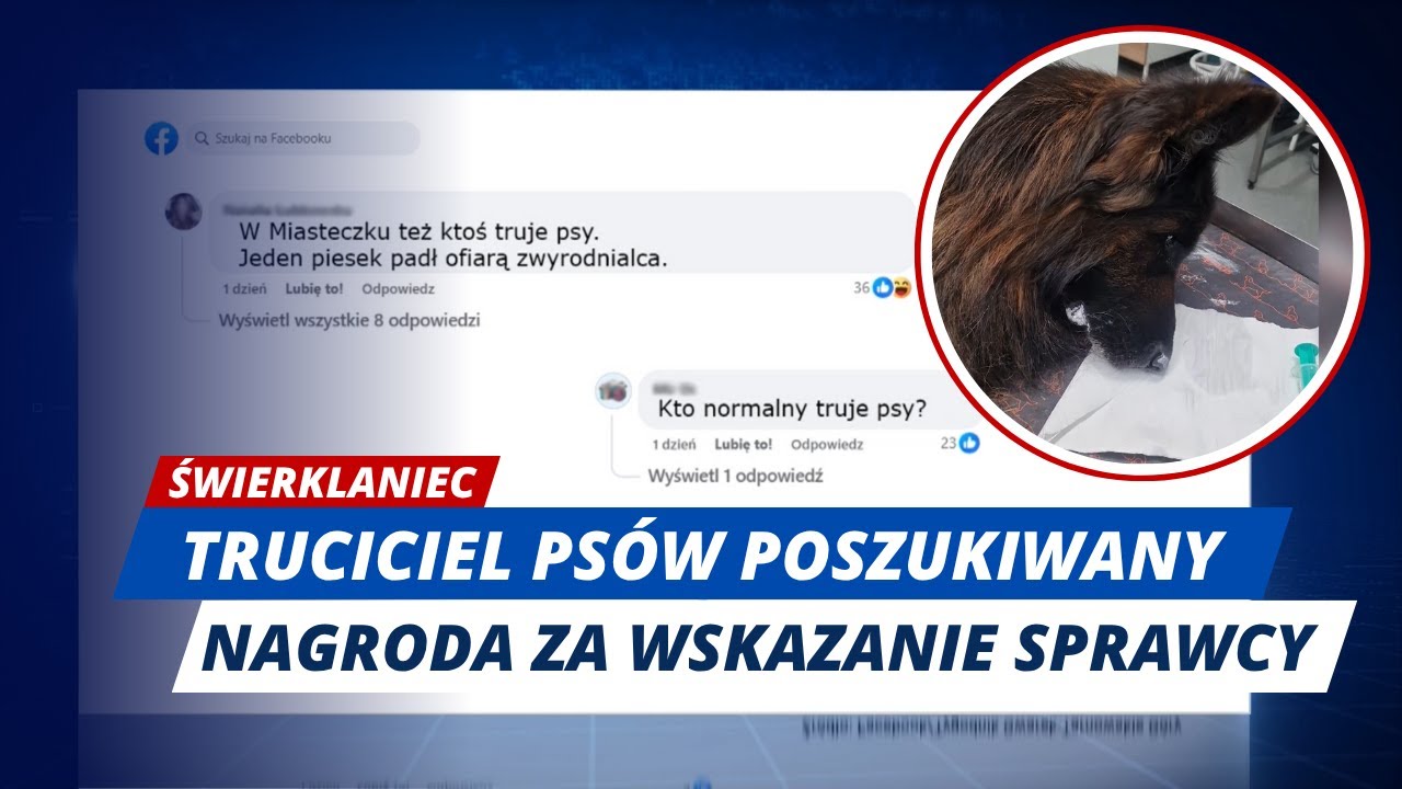 Świerklaniec: 20 tysięcy złotych za wskazanie truciciela psów