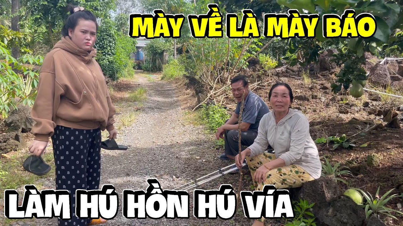 Hết Báo Thuận Gòm Lương Ngố Ba Báo Vừa Về Tới Nhà Báo  Dì Hương Một Trận Xanh Mặt | Anh Ba Báo