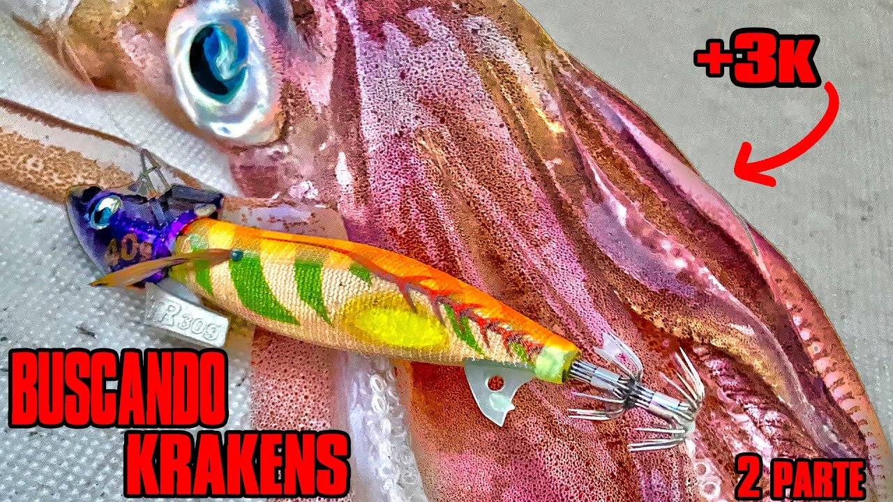 Calamares GIGANTES +𝟯𝗞 a TipRun / Buscando Krakens (2º parte)