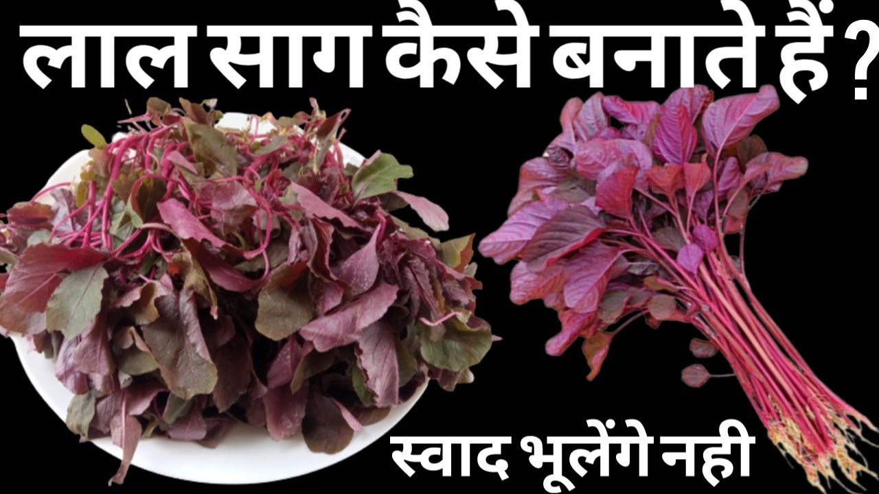 Lal Saag, a treasure of health with thousands of benefits, if you prepare it like this then everyone will eat it licking their fingers/Lal Saag recipe